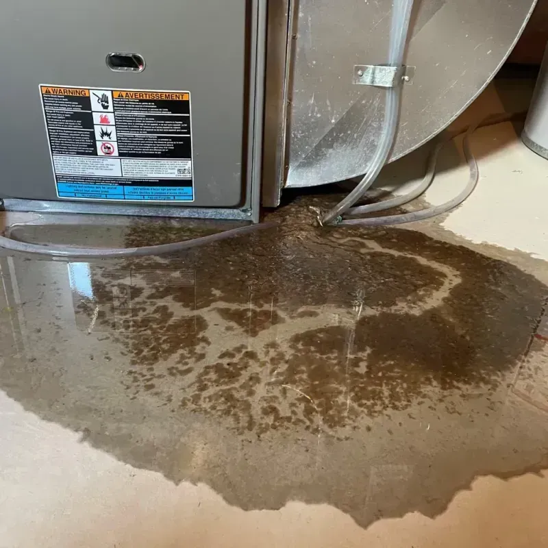 Appliance Leak Cleanup in New Albany, MS